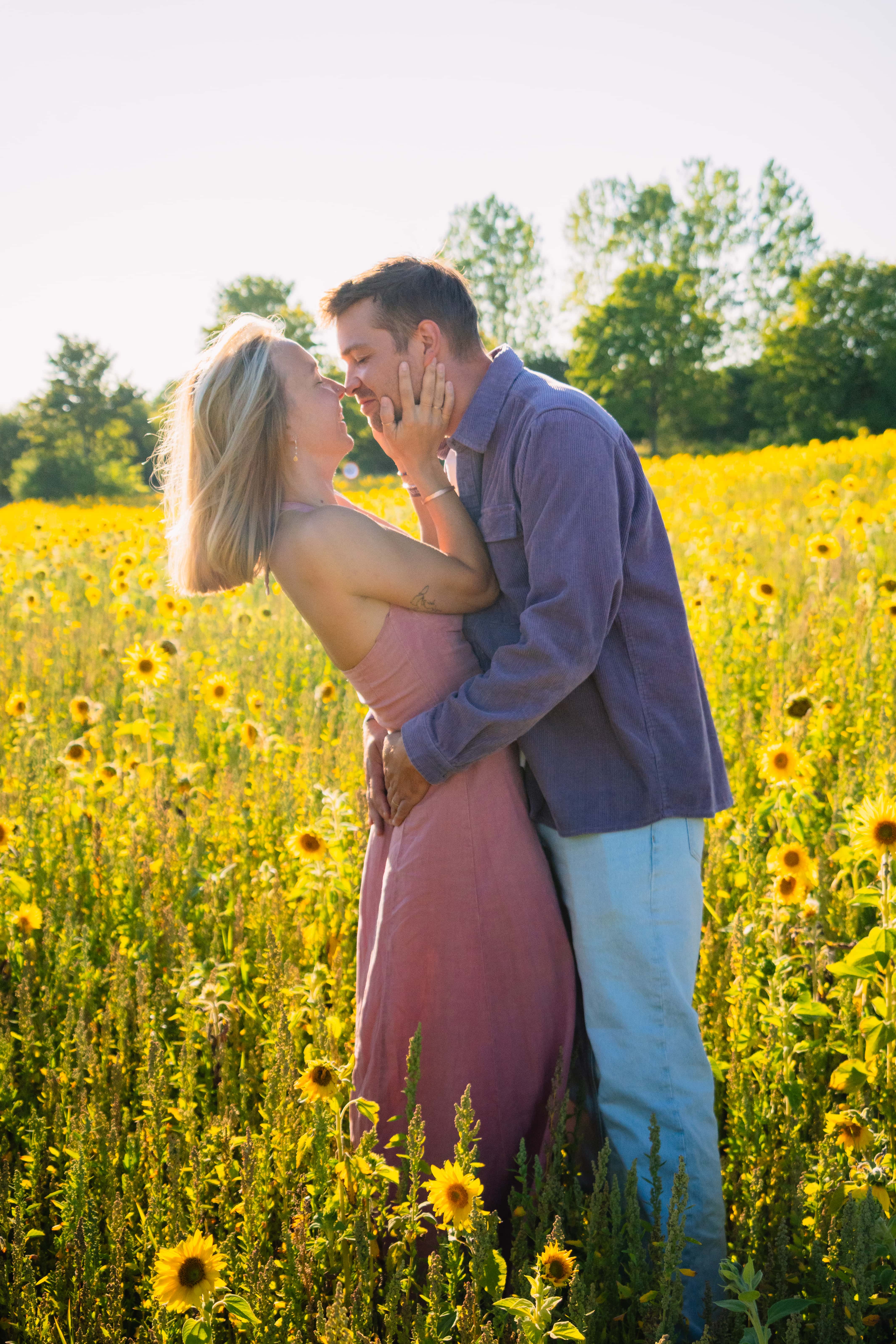 Couple dans un champ de tournesols au soleil, Félix Orain