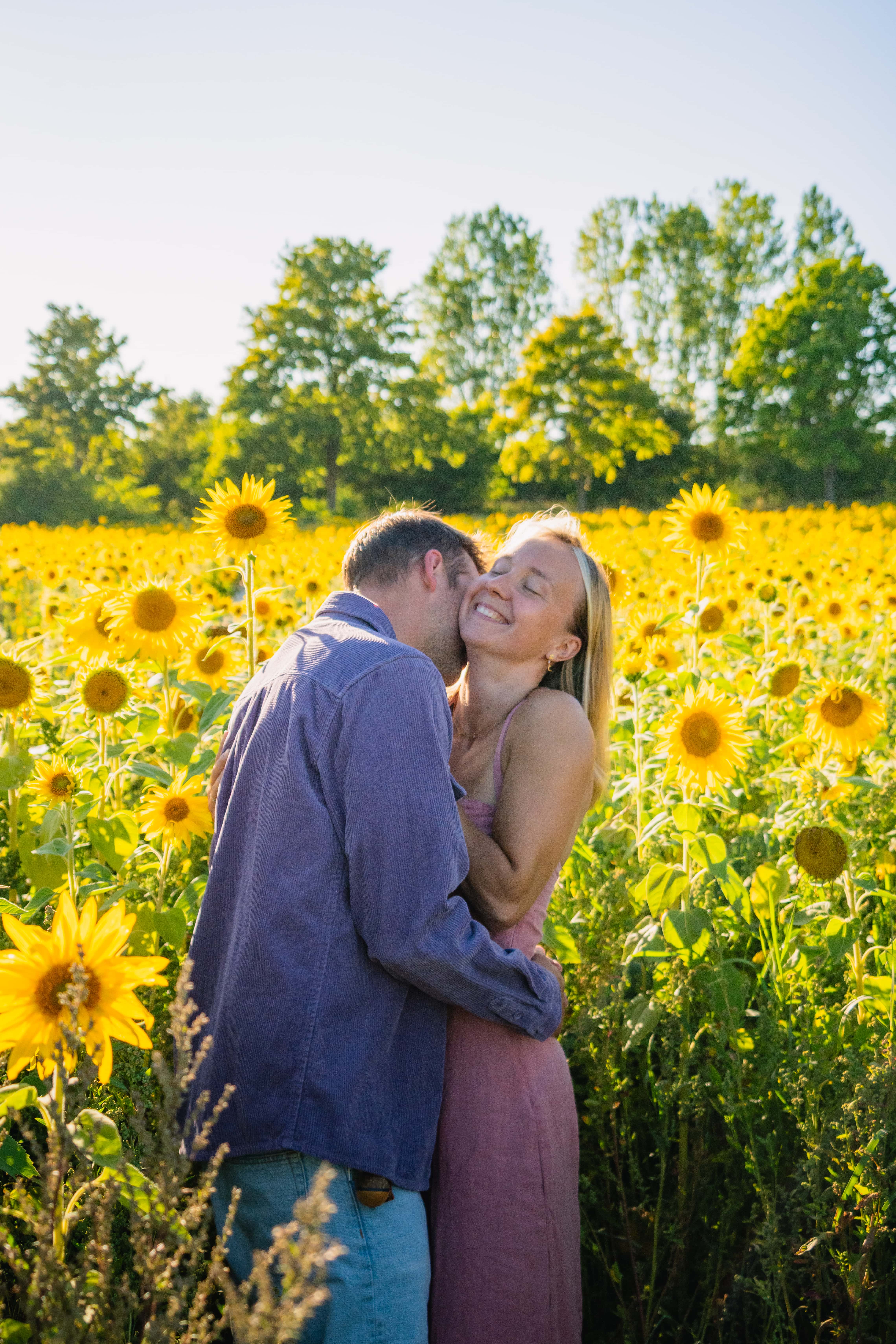 Couple s'embrassant dans les tournesols, Félix Orain photographe