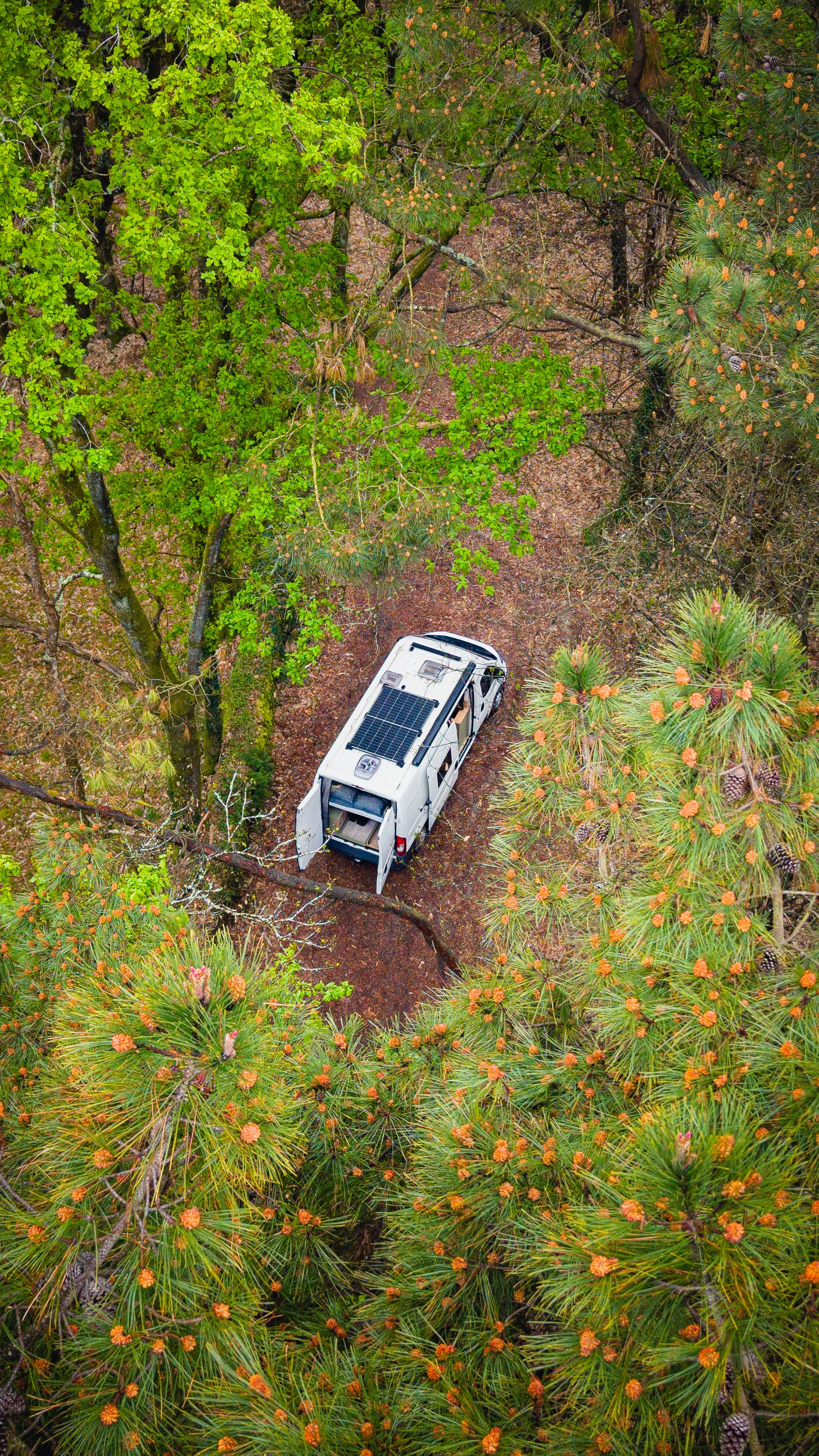 Van image