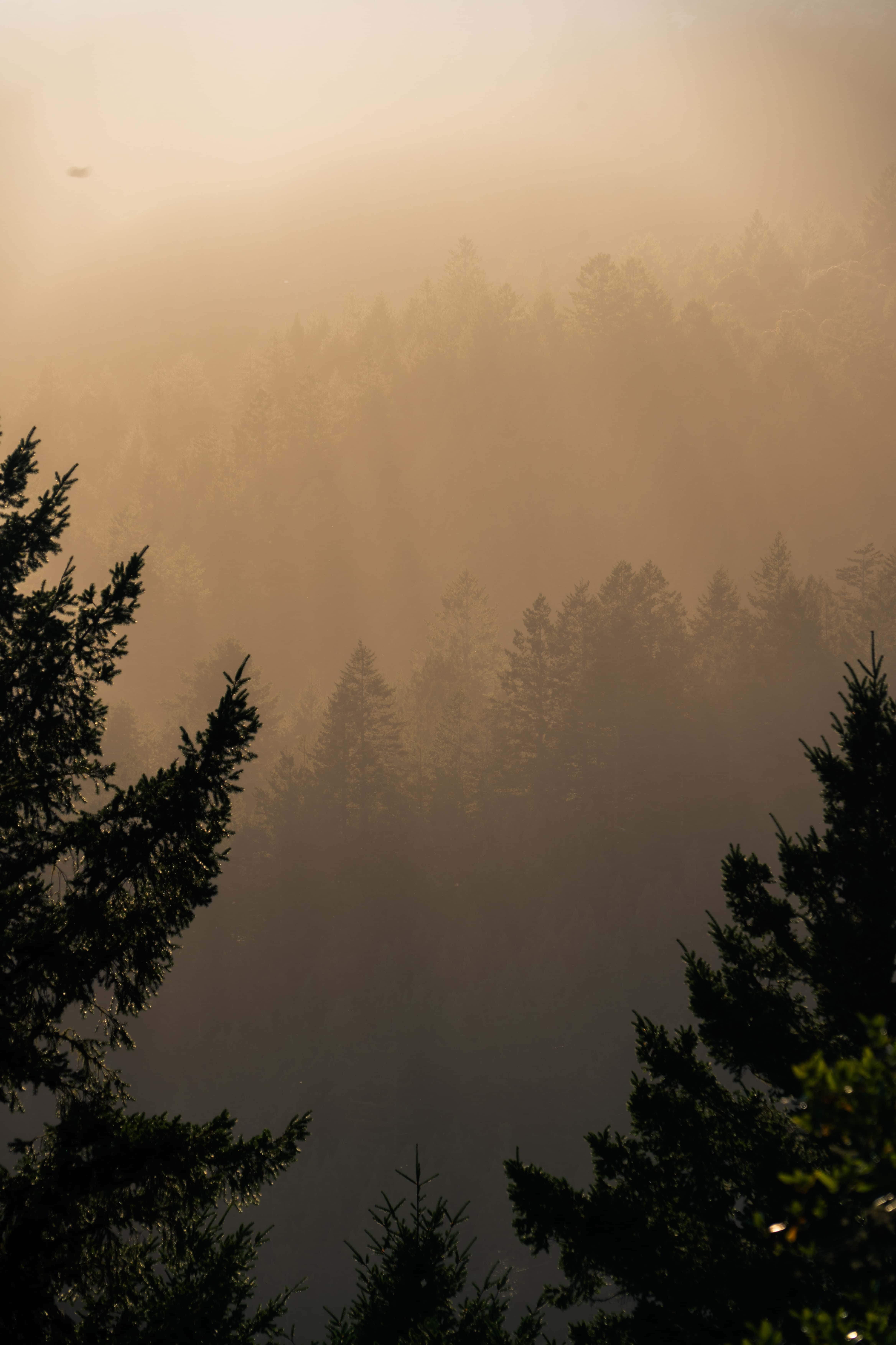 Landscape image