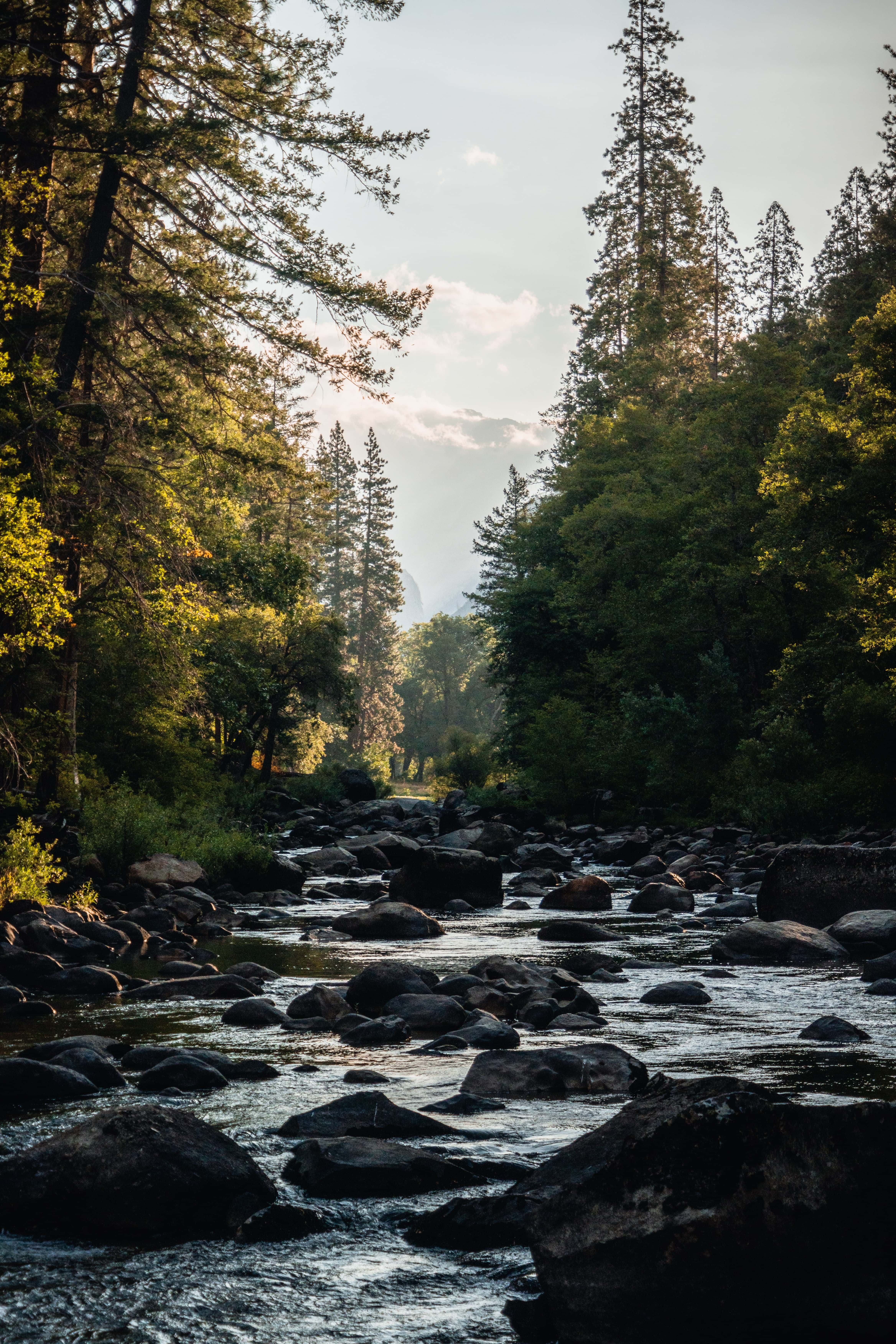 Landscape image