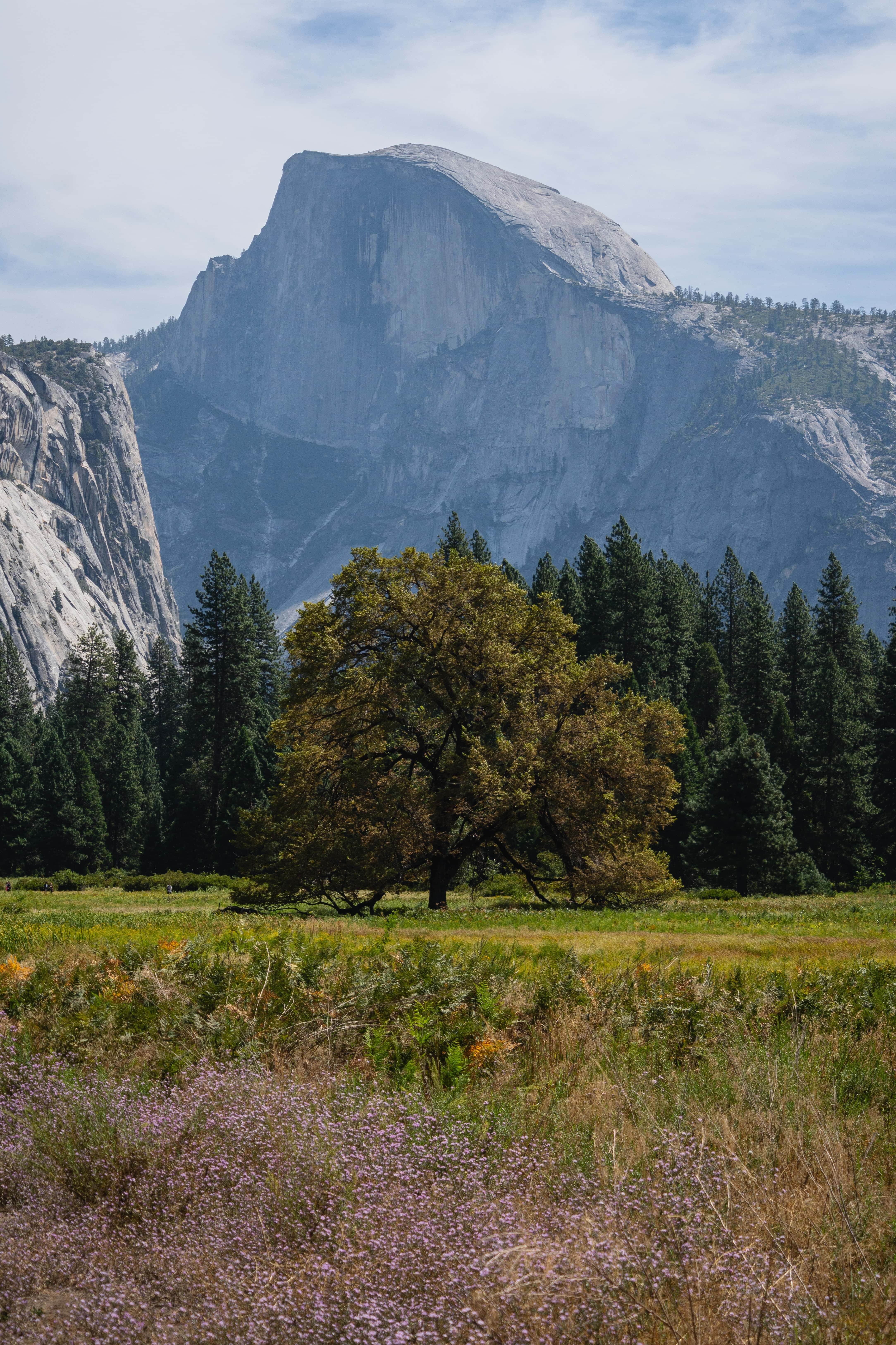 Landscape image