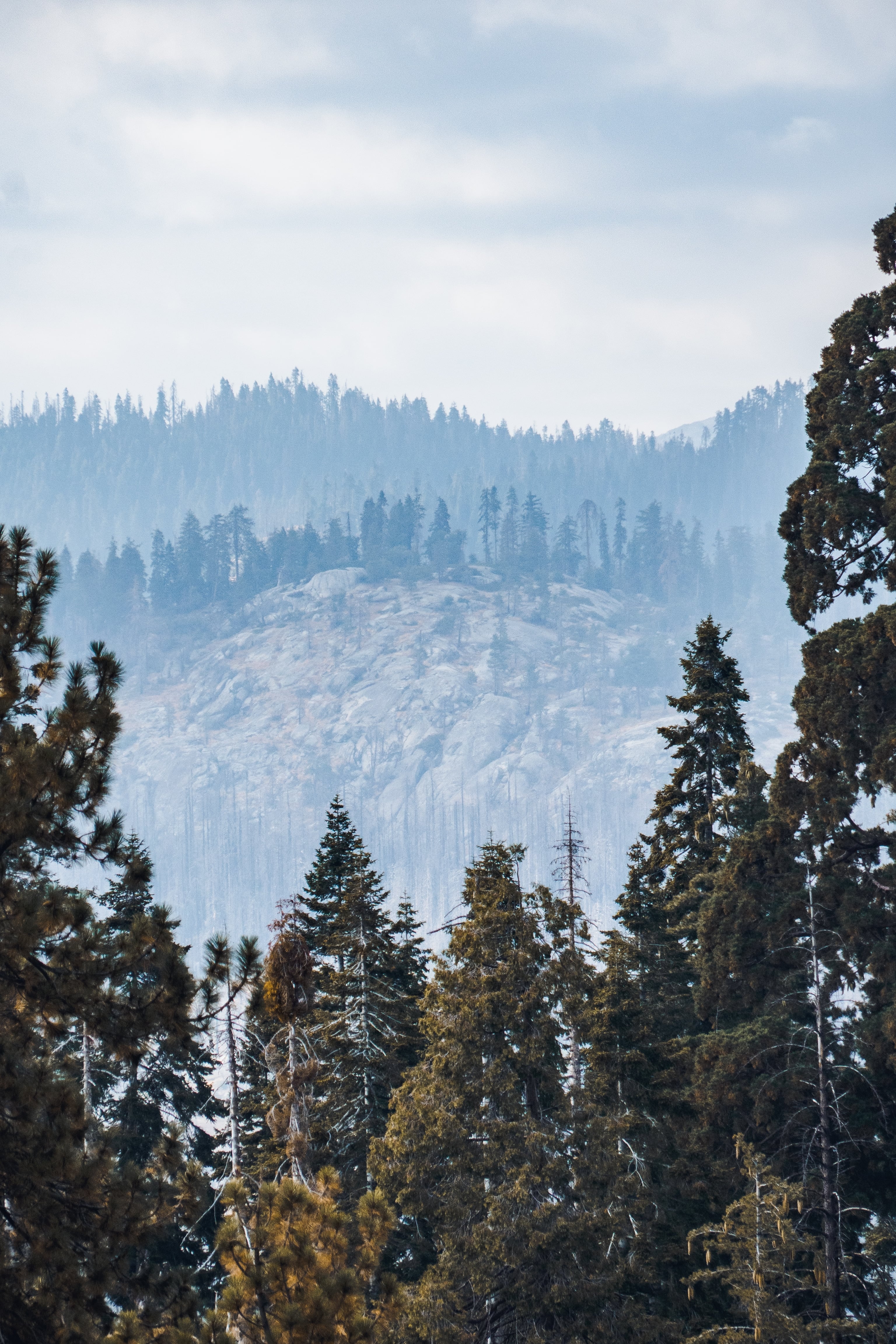 Landscape image