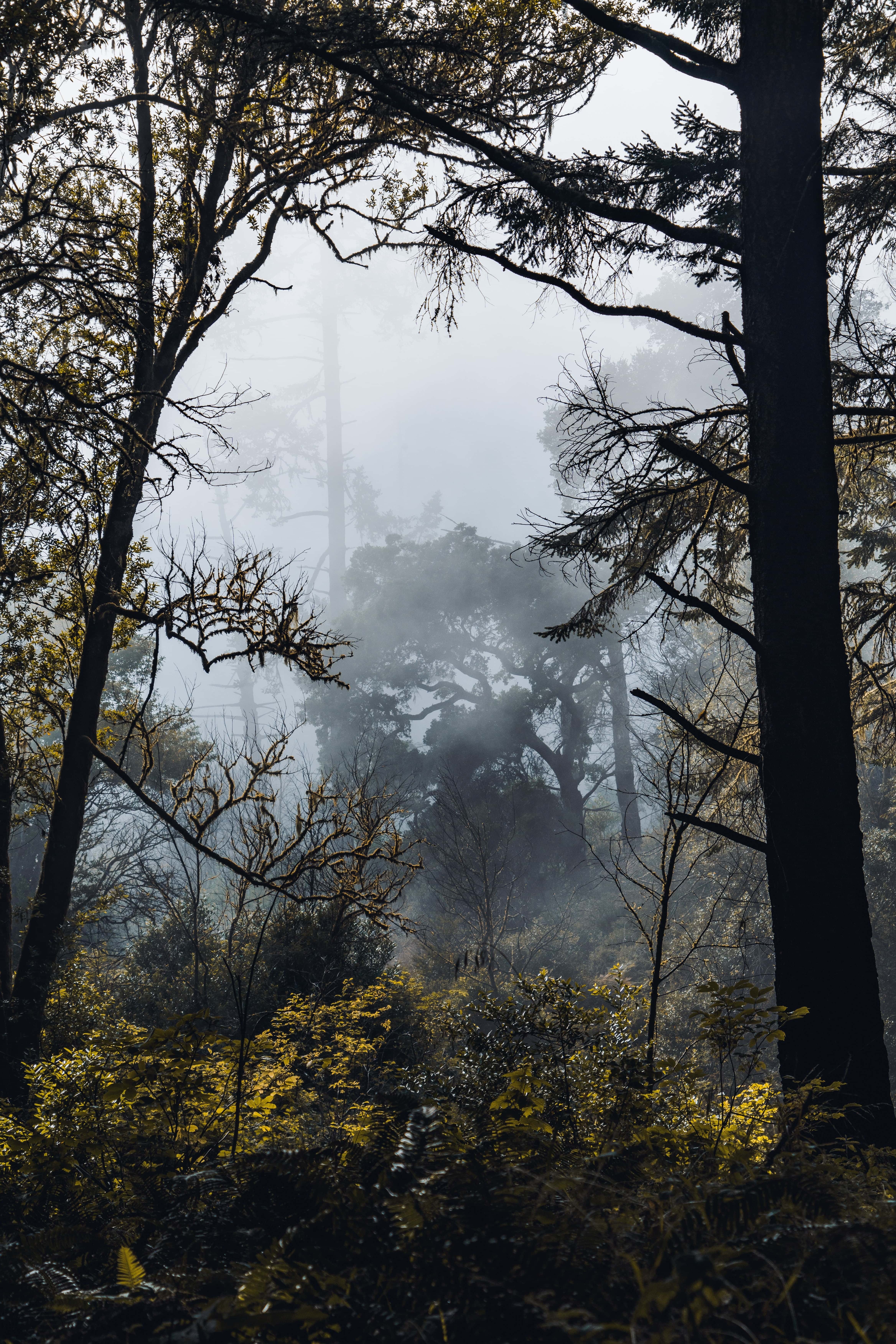 Landscape image