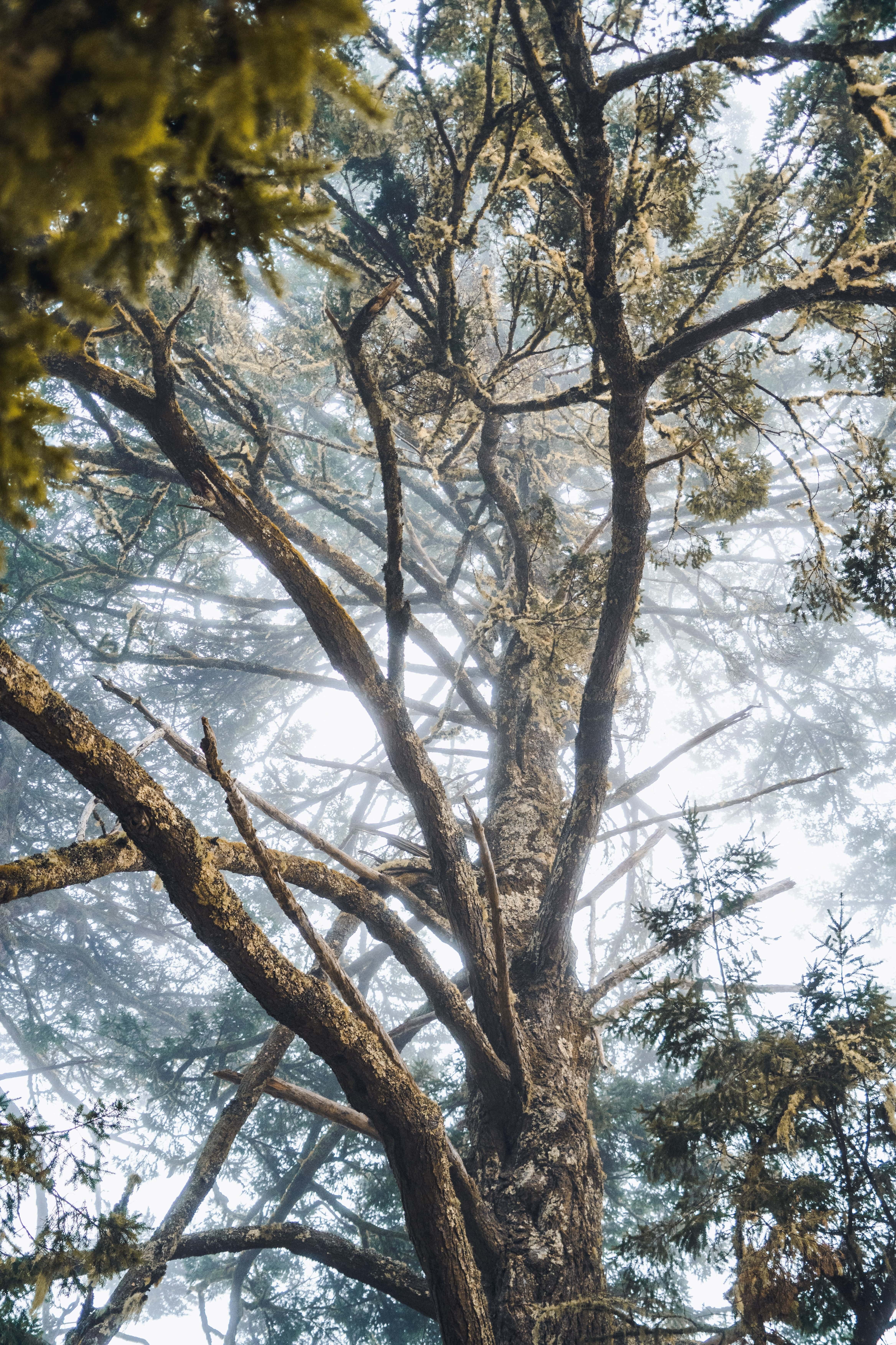 Landscape image