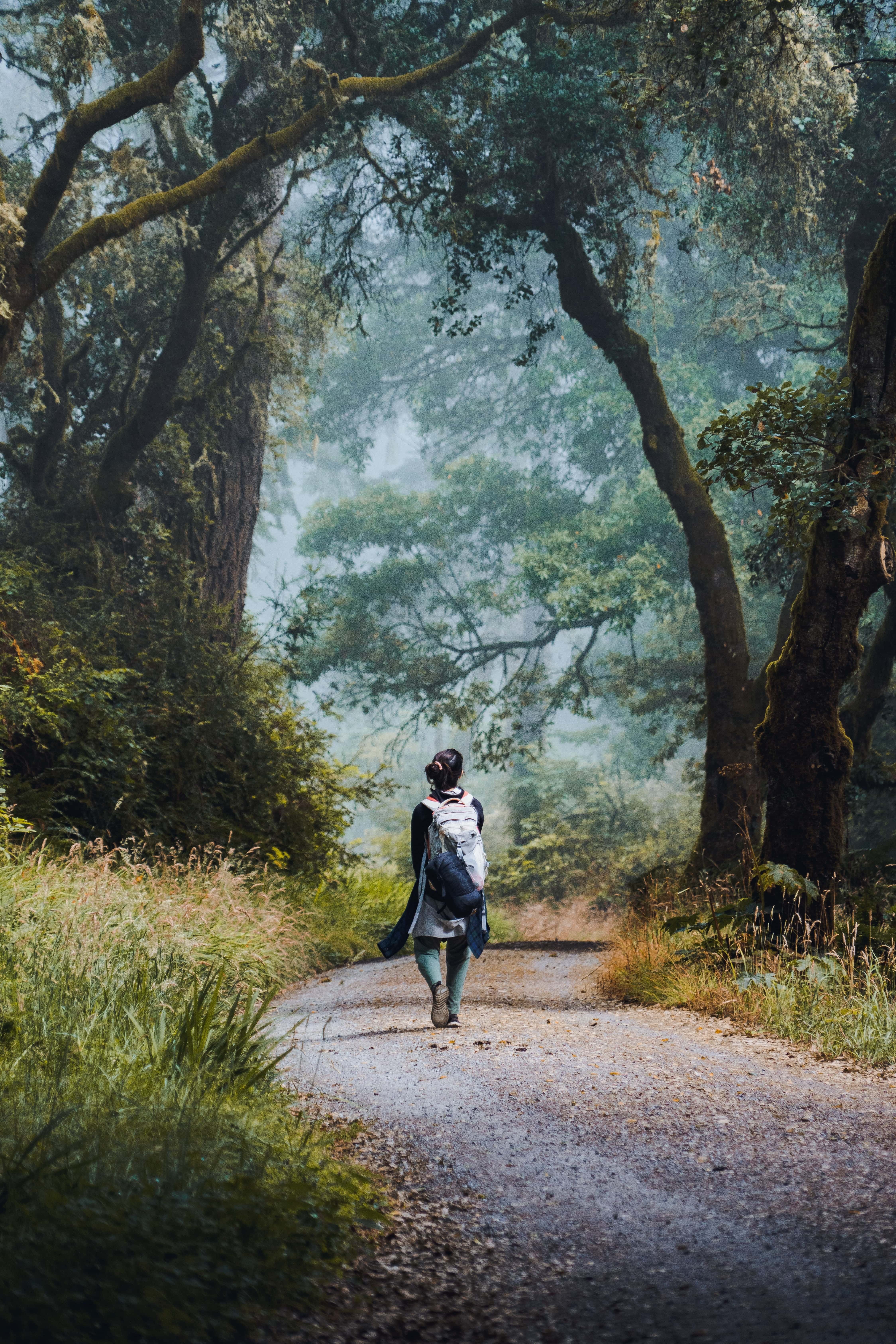 Landscape image